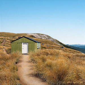 Relax Hut, Mt Robert, Nelson Lakes