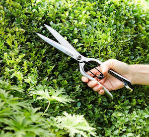 Garden: Topiary Shear
