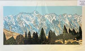 The Remarkables - Nic Tucker