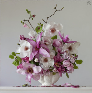 Magnolias 1.32pm
