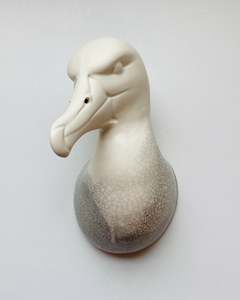 From Earth: Albatross | Mollymawk Crackle