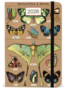 Stationery Books: Butterflies & Insects 2026 Weekly Planner