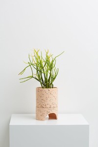 CAPRA Archie Planter