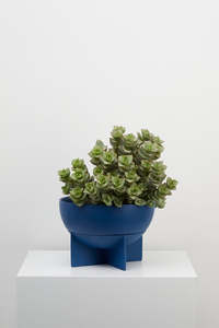 CAPRA Dome Euros Planter