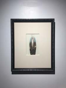 painting: Murmuration | contemporary nz painting | Frith Wilkinson