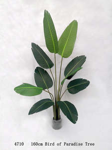 Accessories: Bird of Paradise Plant 1.6m