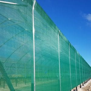 Current Greenhouse film specials