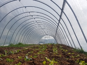 Products: Sunsaver 202mu 3.2m width