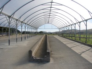 Products: Duratough 215mu 10.5m width