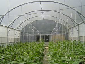 Duratough 215mu 12m width