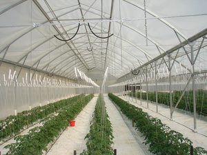 Duratough 215mu 14.5m width