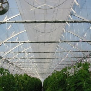 Products: Biomesh 3m width