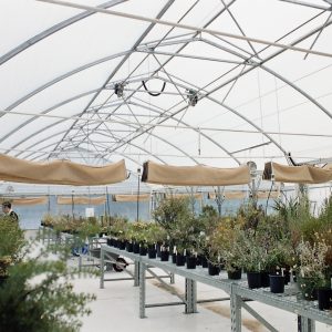 Products: Duratough ‘end of rolls’ specials 225 Micron clear