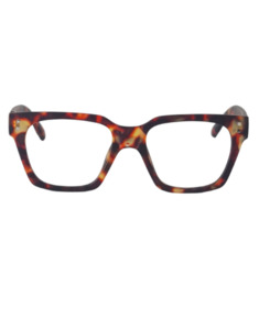 Daily Eyewear: Daily Eyewear 10am Brown Tort