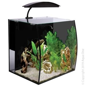 Products: Aqua One Arc 46 Aquarium