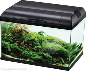 Products: Aqua One EcoStyle 61 Aquarium