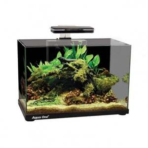 Products: Aqua One Focus 36 Aquarium