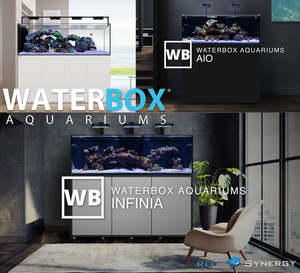 RS Waterbox INFINIA 190.5 Reef +PLUS Kit