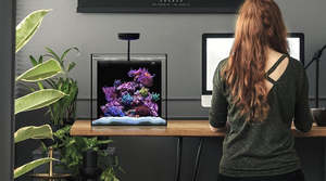Waterbox Aquariums: Waterbox AIO Peninsula Mini 25