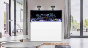 Waterbox REEF 70.2