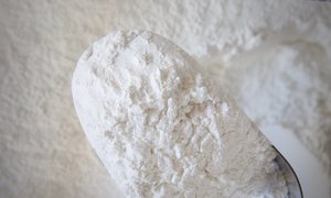 Potato Starch