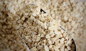 Organic Quick Cook Oats