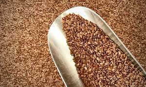 Organic Flaxseed