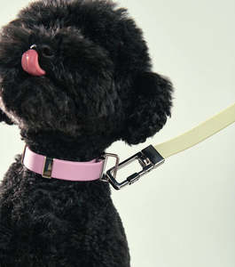 Pet: Frank Green Pet Lead