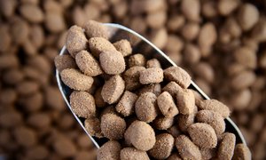 Dog Food, Complete