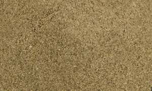 Superfoods: NZ Kelp Powder
