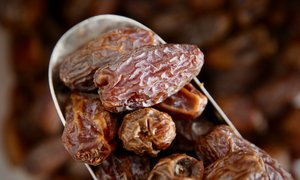 Superfoods: Medjool Dates (With Pits)