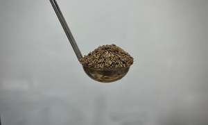 Herbs Spices: Cumin Seed