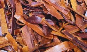 Dried Fruit Nuts: 100% Real Fruit Jerky