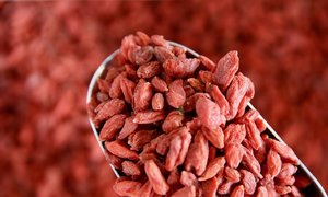 Dried Fruit Nuts: Organic Goji Berries