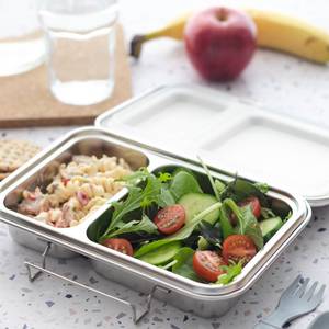 Dried Fruit Nuts: Nestling Stainless Steel Lunchbox Duo