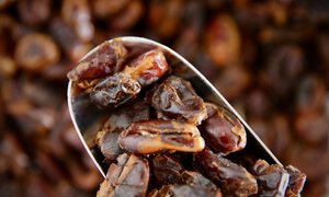 Dried Fruit Nuts: Pitted Dates