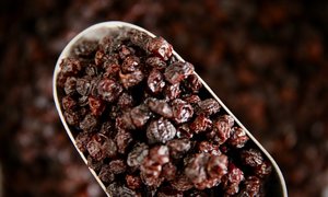 Organic Raisins