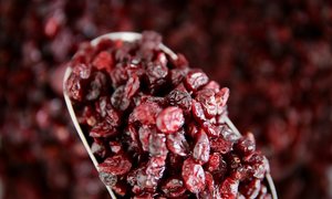 Cranberries