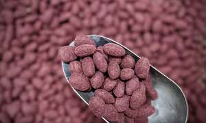 Snacks: Raspberry & Dark Chocolate Almonds