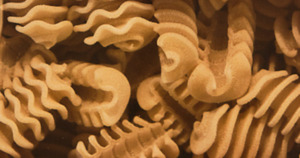 Pasta: NZ Grown Wheat Radiatori Pasta