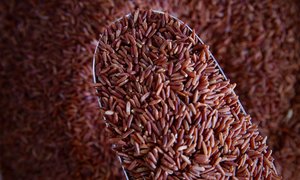 Organic Red Rice