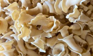 Pasta: NZ Grown Wheat Trumpet Pasta