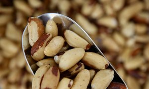 Natural Brazil Nuts