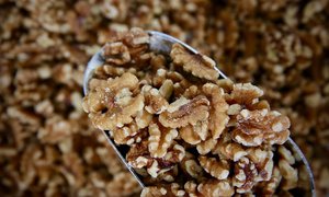 Nuts: Walnuts, Halves