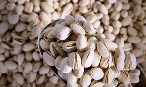 Pistachios