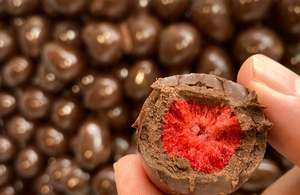 Vegan Freeze Dried Dark Chocolate Strawberries