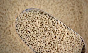 Grains: Pearl Couscous