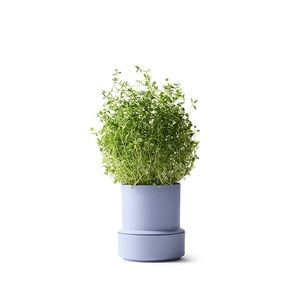 Self Watering Pot-lavender