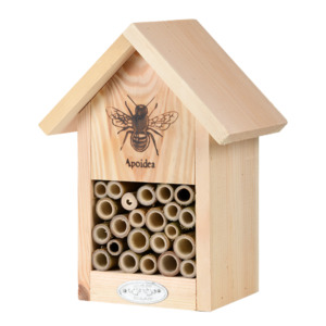 Kids: Bee House
