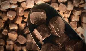 Chocolate Covered Hokey Pokey